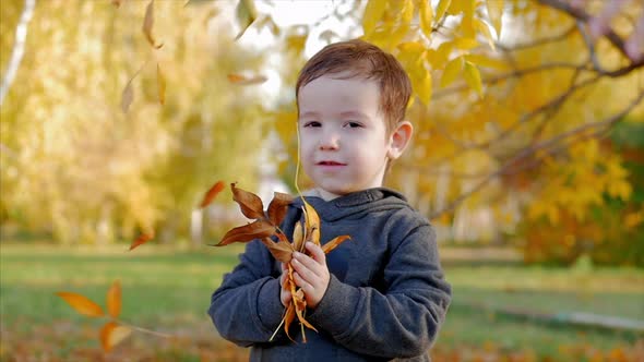 Children Play in the Park, Throw Yellow Autumn Leaves at a Smiling Boy, a Happy Baby, Happy Emotions