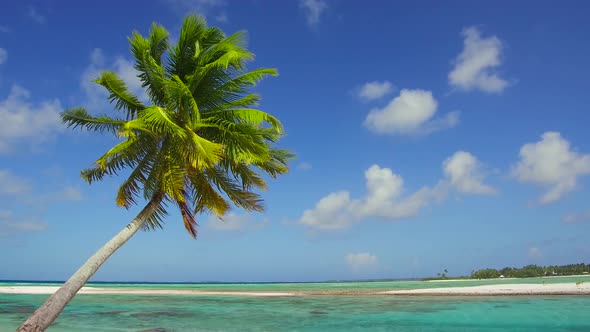 Tropical Beach with Palm Tree in French Polynesia 