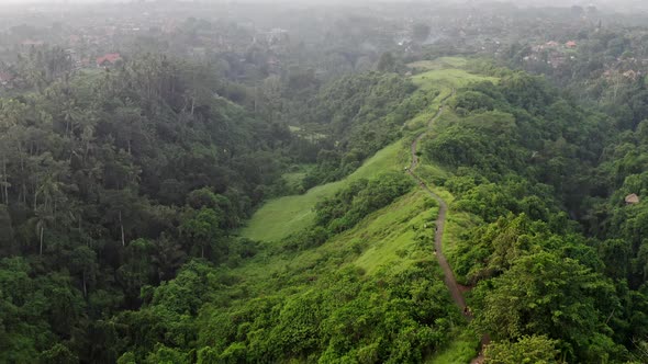 Aerial View Jungle, Rainforest In Mountains. Tropical Forest With Trail Artist Ubud , Trees, Green