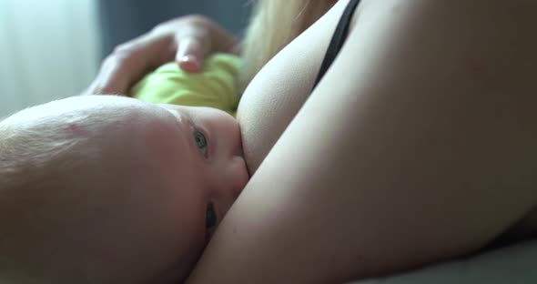 The Newborn Breastfeeds When Mom Caresses His Head