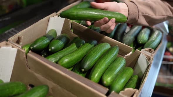 A Woman's Hands Take a Cucumber From the Shelf at the Store