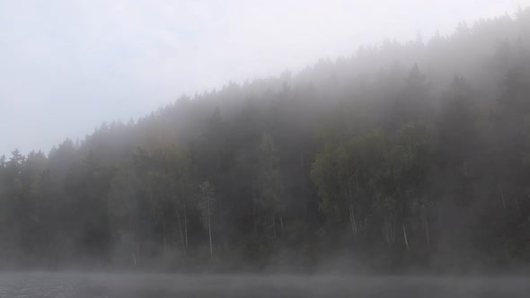 Thick Fog Moves Along Surface of Water Against of Forest