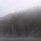 Thick Fog Moves Along Surface of Water Against of Forest - VideoHive Item for Sale