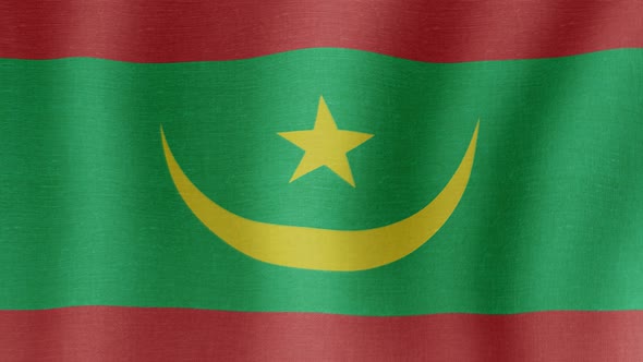 The National Flag of Mauritania alt