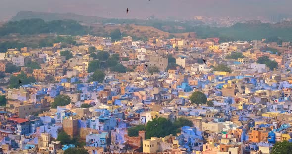 Houses of Famous Jodhpur the Blue City and Birds, View From Mehrangarh Fort, Rajasthan, India