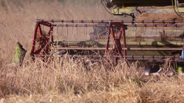 Combine Harvesting Dry Grass.