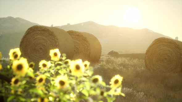 Hay Bales in the Sunset