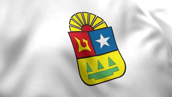 Quintana Roo Flag (Mexico)