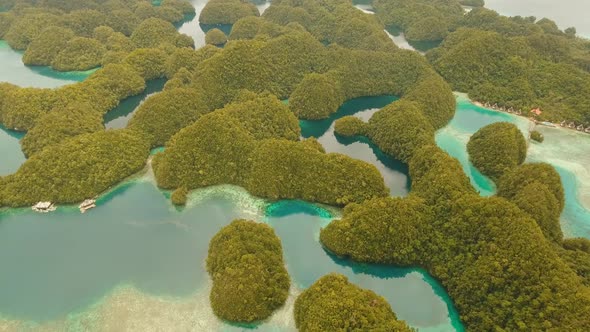 Seascape with Lagoons and Islands