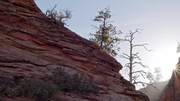 Panning view of rocky cliffs in Zion as sun fades behind the sandstone