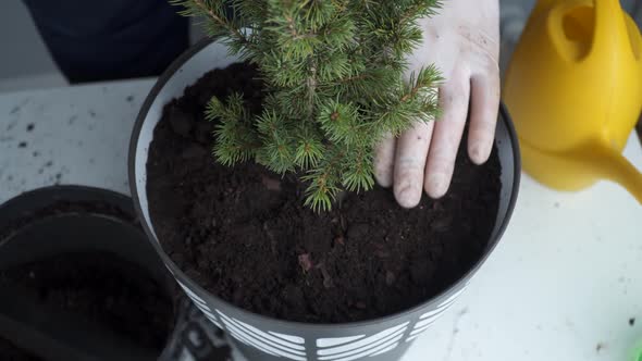 Gardening Concept