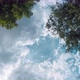 Clounds In The Sky In Circle And Trees - VideoHive Item for Sale