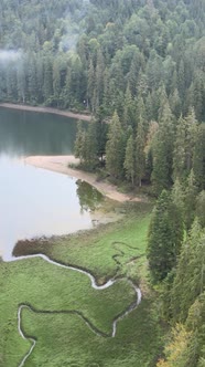 Vertical Video Mountain Lake Synevyr