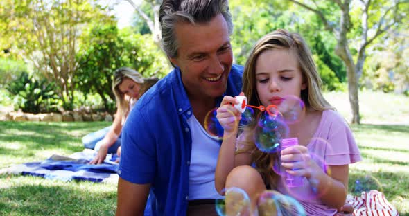 Father and daughter blowing bubble with bubble wand at picnic in park 4k