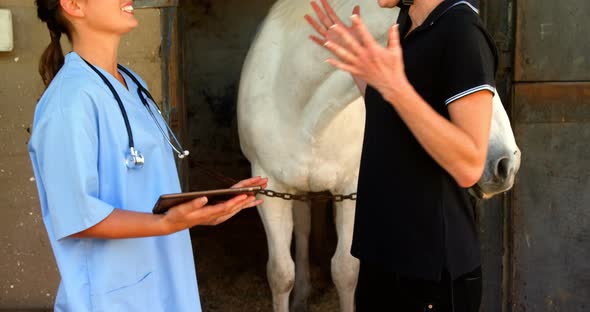 Veterinarian and woman interacting while using digital tablet 4k