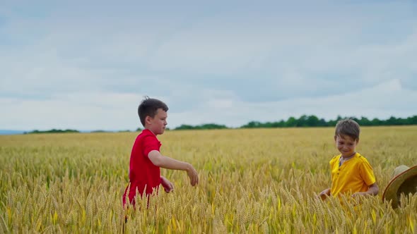 Children playing on field. Happiness little children relaxing outdoors