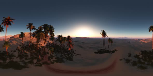 VR 360 Degree Aerial Panorama of Palms in Desert