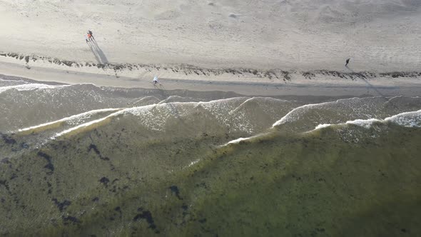 Sea coast with waves