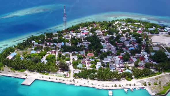 Aerial drone nature of seashore beach wildlife by sea and sand background