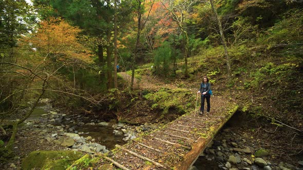 Static, female crosses bridge over stream with autumn colours, Kumano Kodo Trail