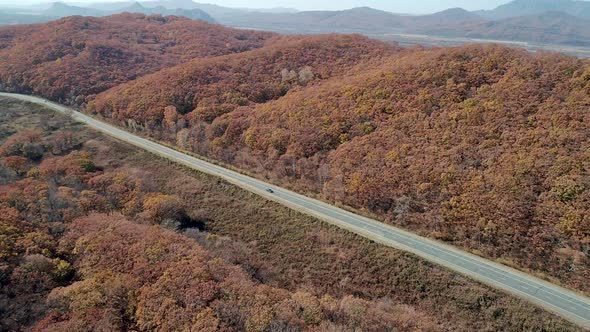 Aerial Shot of Car Driving on a Highway Road in Between Autumn Forest Fall Season