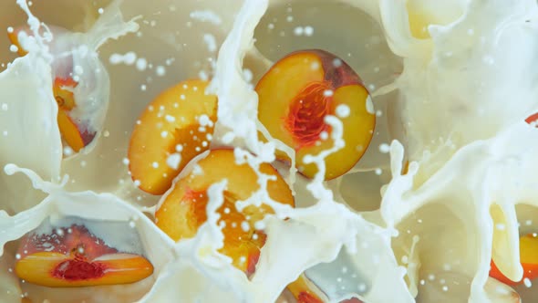 Super Slow Motion Shot of Fresh Peaches Falling Into Milk at 1000Fps