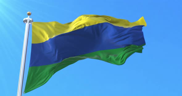 Guainia Department Flag, Colombia