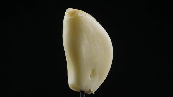 Raw garlic close up