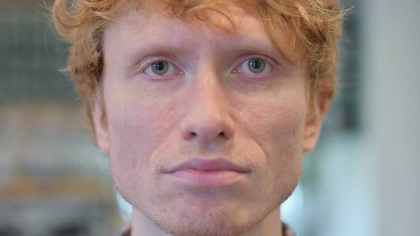 Close Up of Face Young Redhead Man Looking at the Camera
