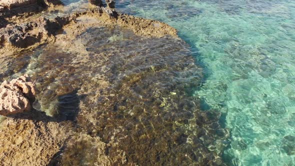 Mediterranean Coast of Cyprus Fragment