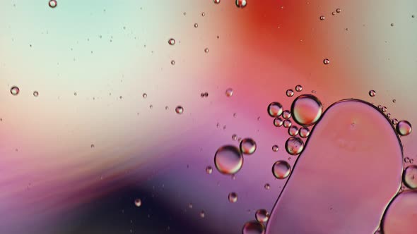 Abstract Colorful Food Oil Drops Bubbles 232