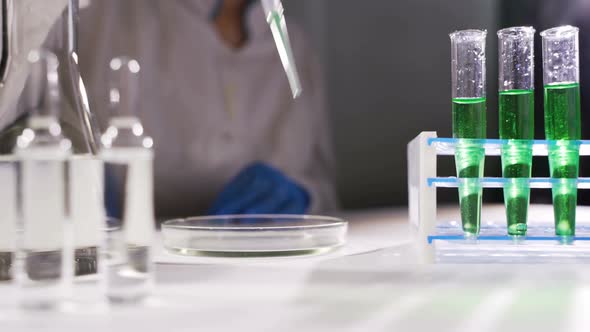 Laboratory Worker Drips Liquid Into a Petri Dish