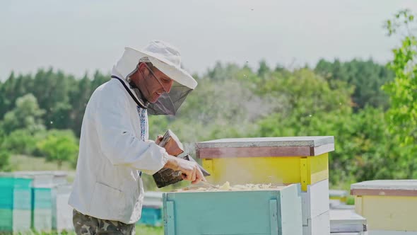 Beekeeper working collect honey. Portrait of beekeepeer raw honey being harvested from bee hives