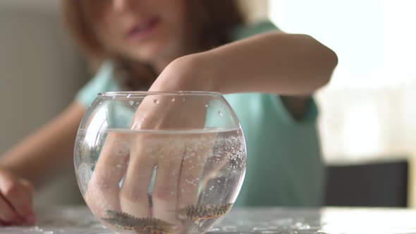 Newt Under Water Swim in Round Aqua