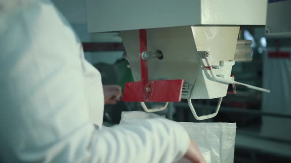 A Female Worker Packs Sugar Using Machine on Conveyor Belt of Sugar Beet Plant