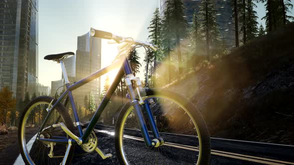 City Bicycle on the Road alt