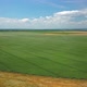 Growing and Harvesting Agricultural Crops, Aerial Shot - VideoHive Item for Sale