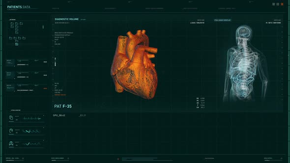Anatomical Examination Technology Analyzing Heart Organ For Illness Research alt