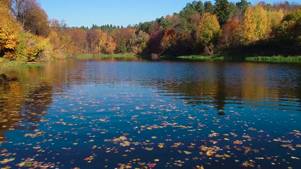 Colorful Autumn Forest Wood on the Lake