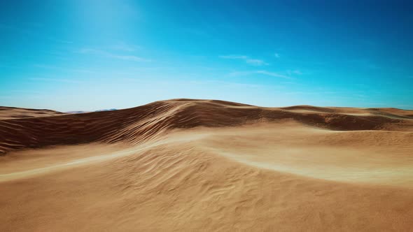 Beautiful Sand Dunes in the Sahara Desert