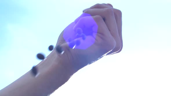 Hand dropping coffee beans in slow motion, background sky light