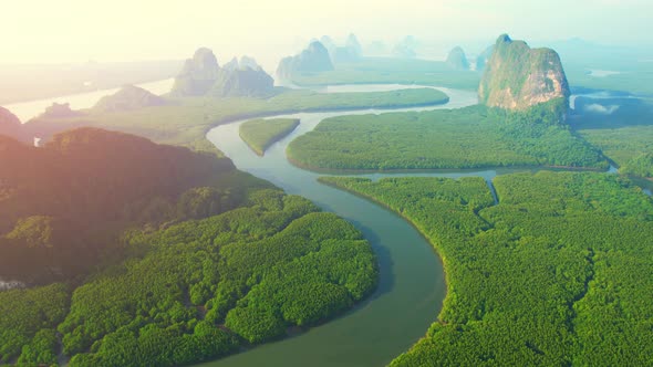 An aerial view over the river bends and mangrove forests