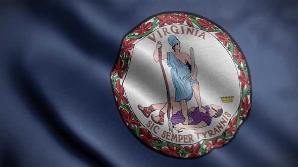 Virginia State Flag Close Up HD