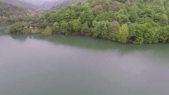 Aerial Forest Shore and Reflect