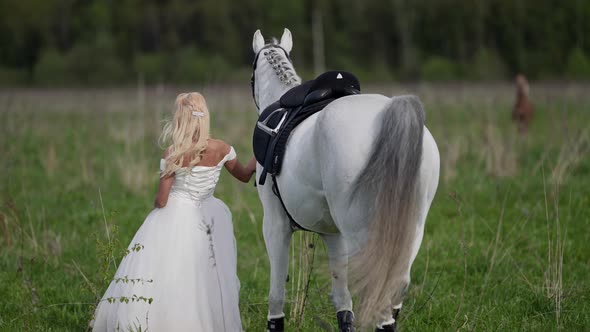 Bride and Horse at Nature Romantic Shot of Young Woman in Wedding Dress and Graceful White Equine