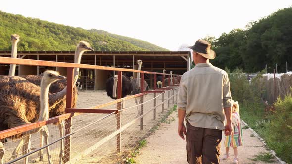 Ostrich Farmer