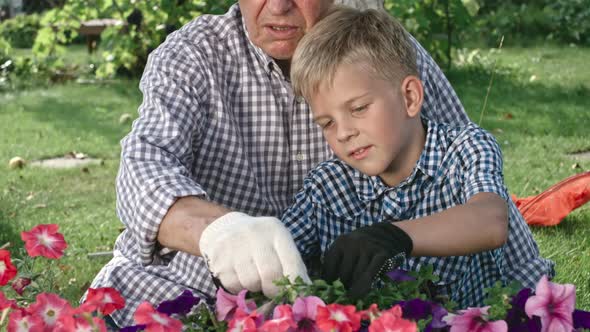 Grandfather and Little Boy Gardening Together