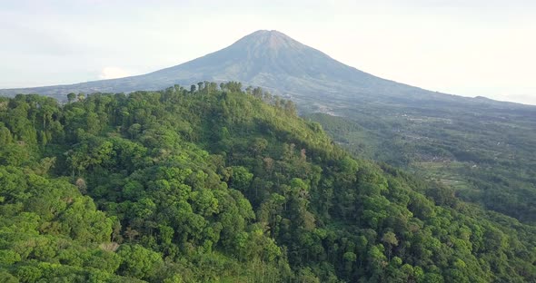 Epic drone flight showing tropical forest trees growing on hilltop and famous Mount Sumbing in backg