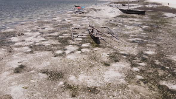 Ocean Low Tide Near the Coast of Zanzibar Island Tanzania