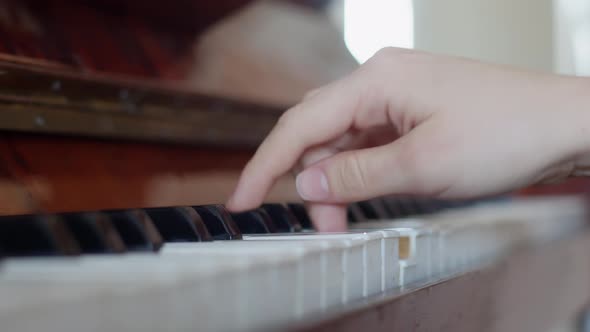 Musician Play Piano with Hand